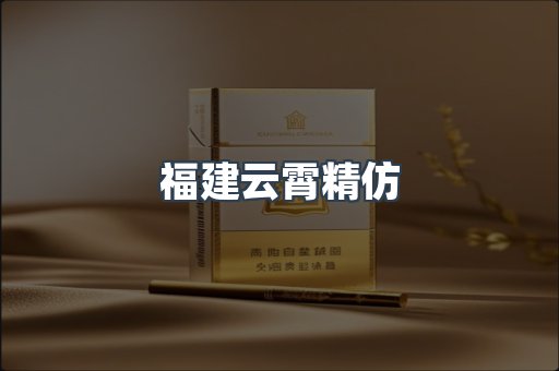 福建云霄精仿